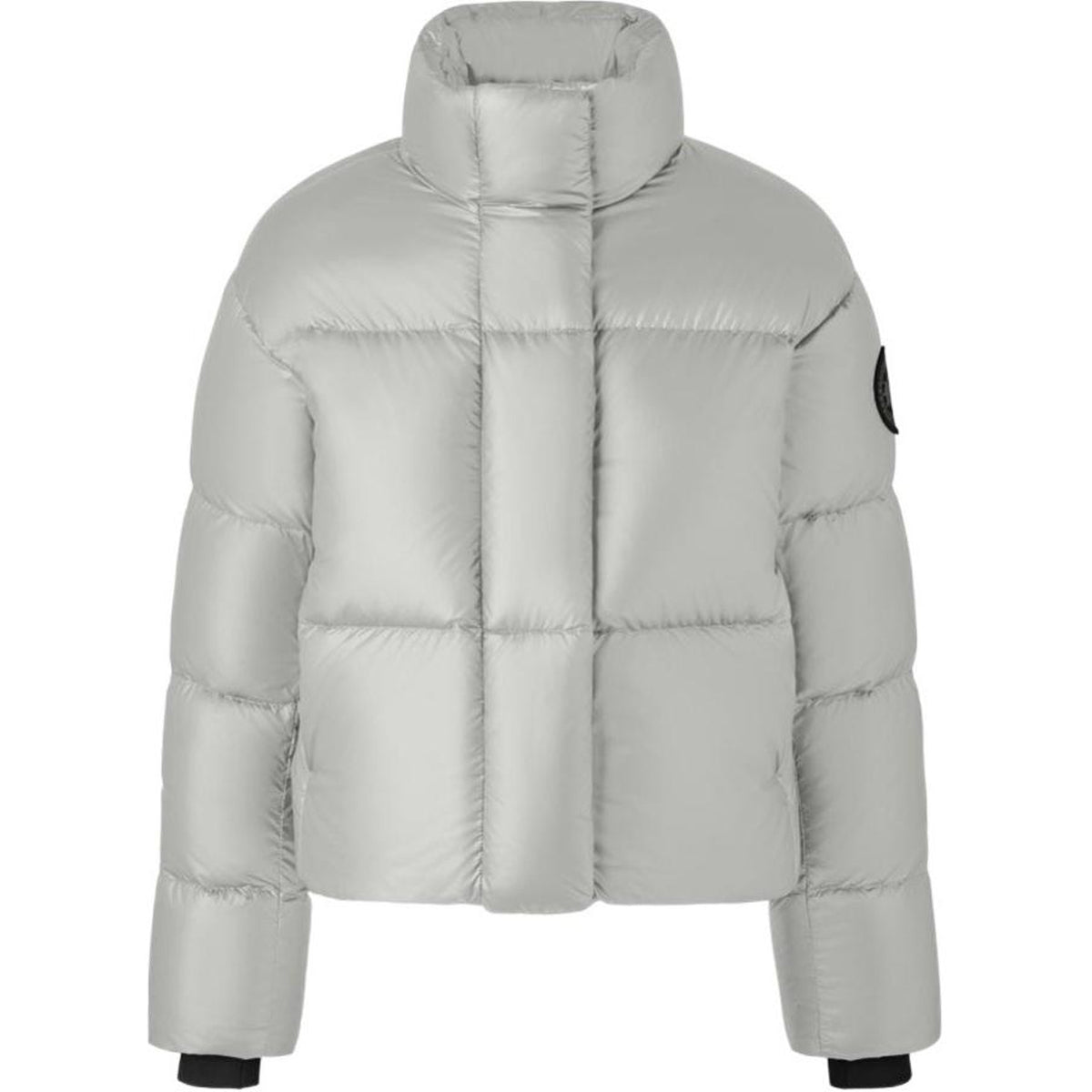 canada goose